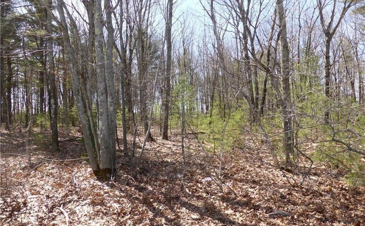 Pictures of Retail property located at Lot 1C Main Street / Rte 109, Sanford, ME 04073 for sales - image #1