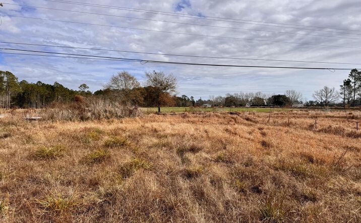 Pictures of Special Purpose property located at 1 Acre Hwy 613, Moss Point, MS 39562 for sales - image #1