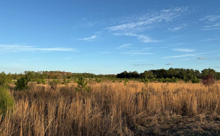 Pictures of Special Purpose property located at 0 S Ga Hwy 0041 South, BUENA VISTA, GA 31803 for sales - image #1