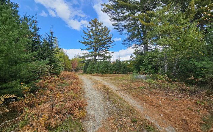 Pictures of Land property located at Green Field, Off Georges Pond Road, Franklin, ME 04634 for sales - image #1