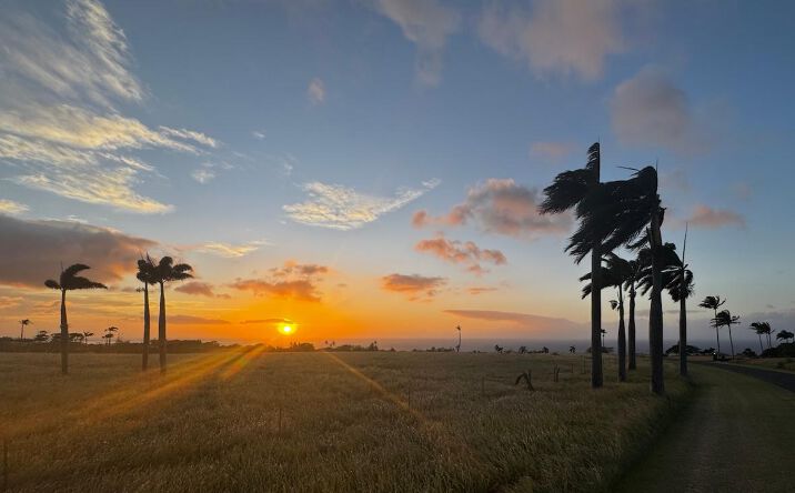 Pictures of Land property located at 56-2929 PUAKEA BAY DR, Hawi, HI 96719 for sales - image #1