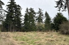 27994890