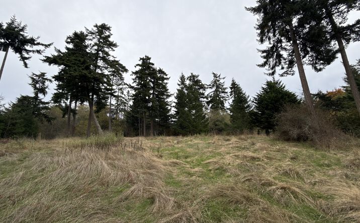 Pictures of Land property located at 29922 WA-525, Coupeville, WA 98239 for sales - image #1
