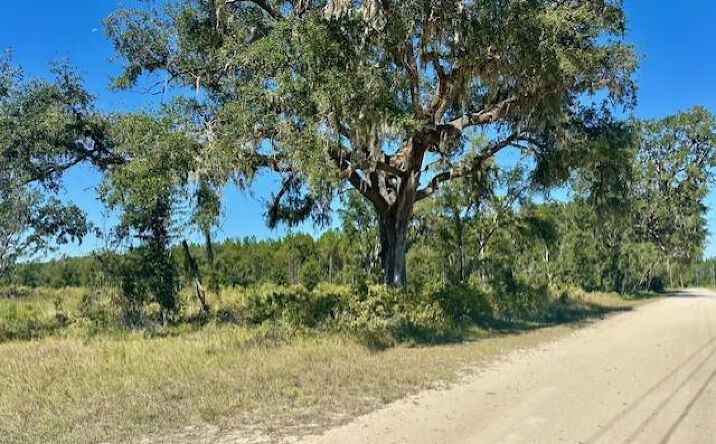 Pictures of Land property located at NE 35th Ave, Bronson, FL 32621 for sales - image #1