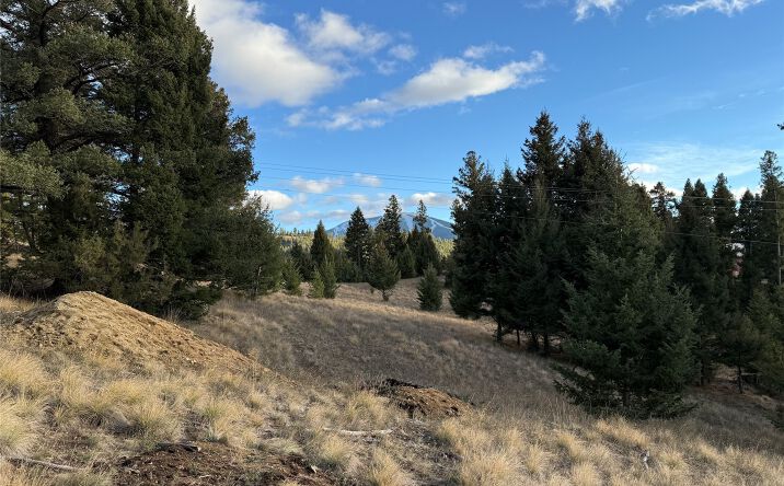 Pictures of Land property located at Lot 3 Scranton Lode, Philipsburg, MT 59858 for sales - image #1