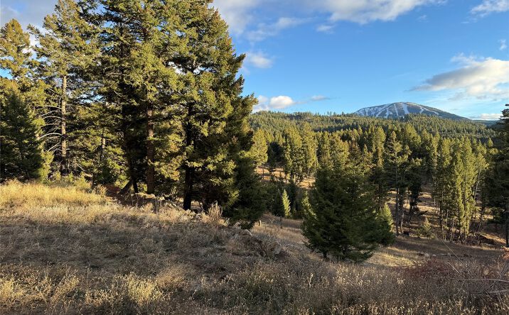 Pictures of Land property located at Lot 4 Scranton Lode, Philipsburg, MT 59858 for sales - image #1