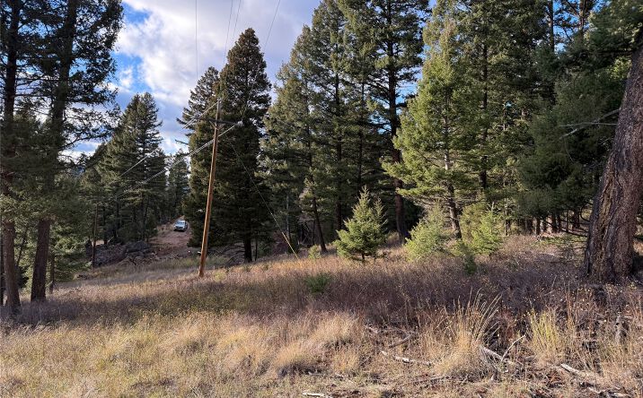 Pictures of Land property located at Lot 5 Scranton Lode, Philipsburg, MT 59858 for sales - image #1