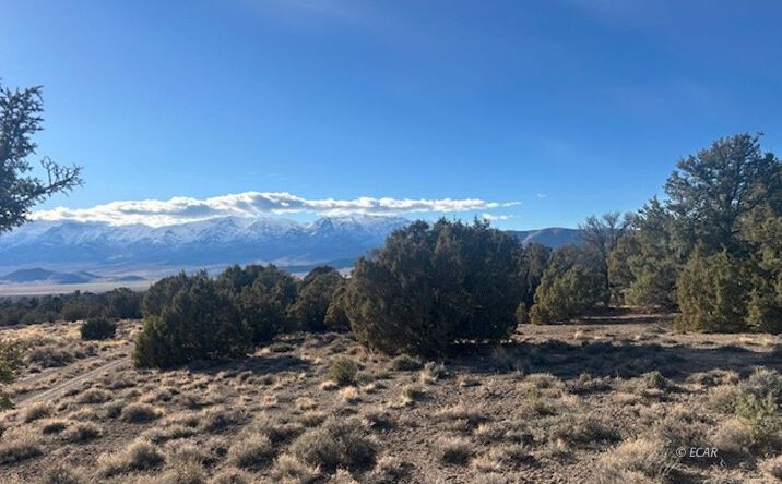 Pictures of Land property located at Two track, Wells, NV 89835 for sales - image #1