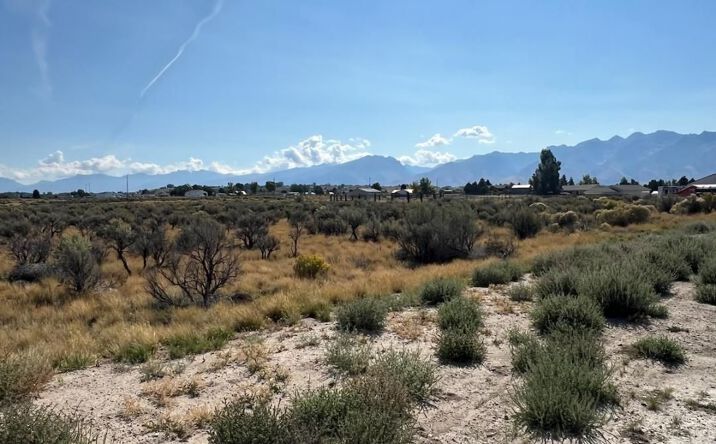 Pictures of Land property located at 4 Licht Parkway, Spring Creek, NV 89815 for sales - image #1