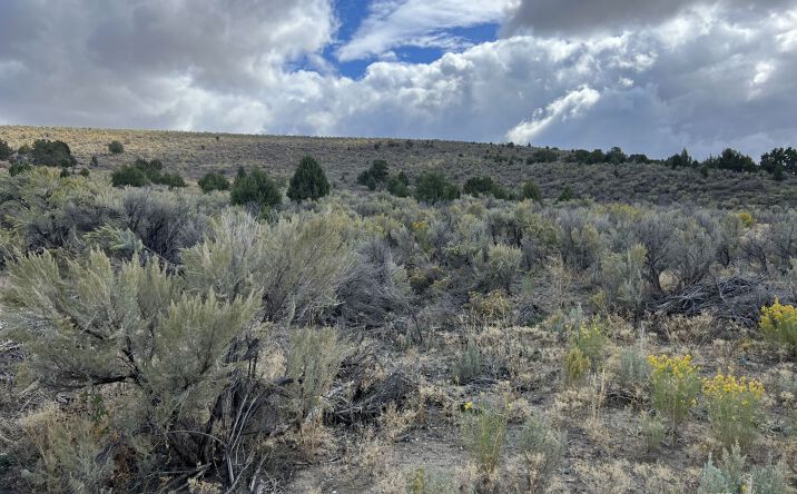 Pictures of Land property located at 412 Murdoch Way, Elko, NV 89801 for sales - image #1