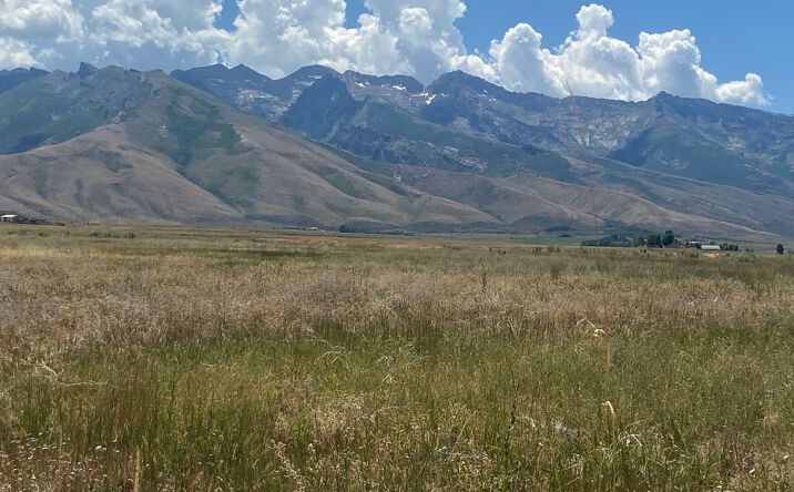 Pictures of Land property located at 80.21 Acres Parcel A, Lamoille, NV 89828 for sales - image #1