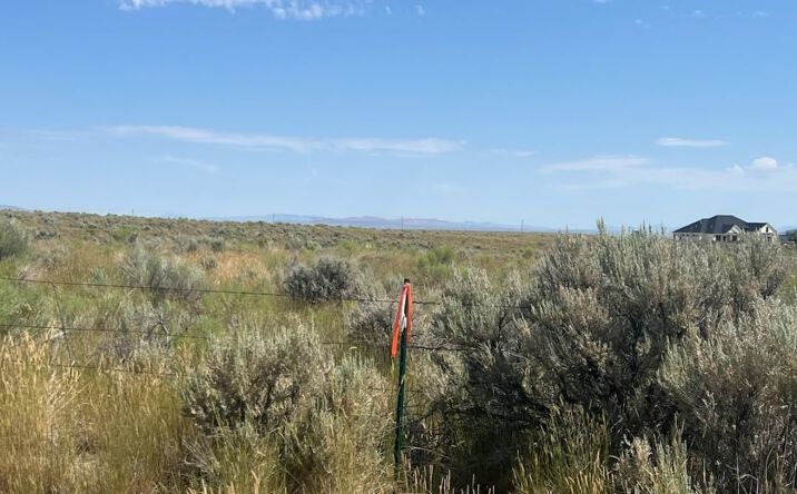 Pictures of Land property located at 12 Hog Tommy Road, Spring Creek, NV 89815 for sales - image #1