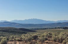 28007788