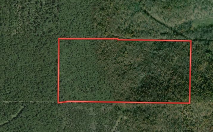 Pictures of Land property located at Co Rd 204, Alton, MO 65606 for sales - image #1