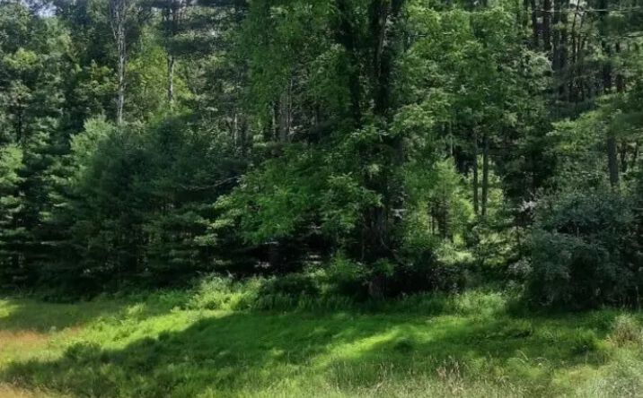 Pictures of Land property located at 37 New Mashipacong Road, Montague, NJ 07827 for sales - image #1