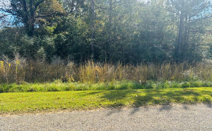 Pictures of Land, Multifamily property located at NHN Otho Seals Rd, Lumberton, MS 39455 for sales - image #1