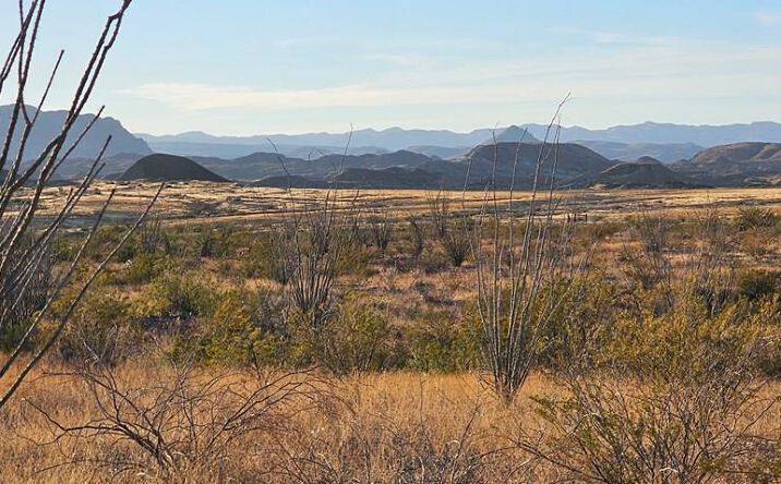 Pictures of Land property located at 400 Half Loop Dr., Terlingua, TX 79852 for sales - image #1