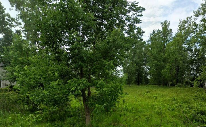 Pictures of Land property located at 445 Seneca Creek Rd, Buffalo, NY 14224 for sales - image #1