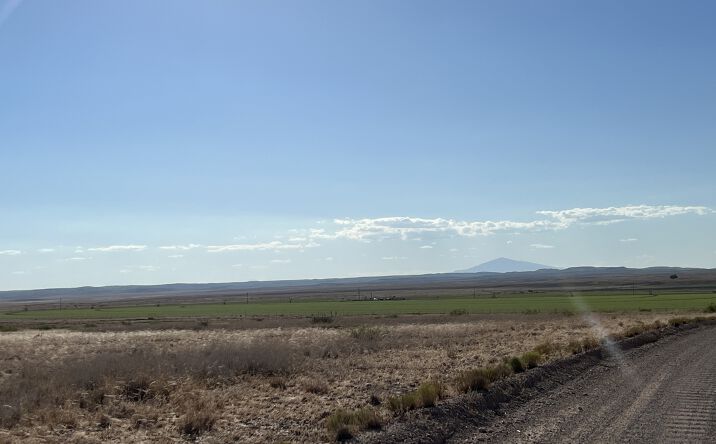 Pictures of Land property located at Blue Bell Farm, Roswell, NM 87011 for sales - image #1