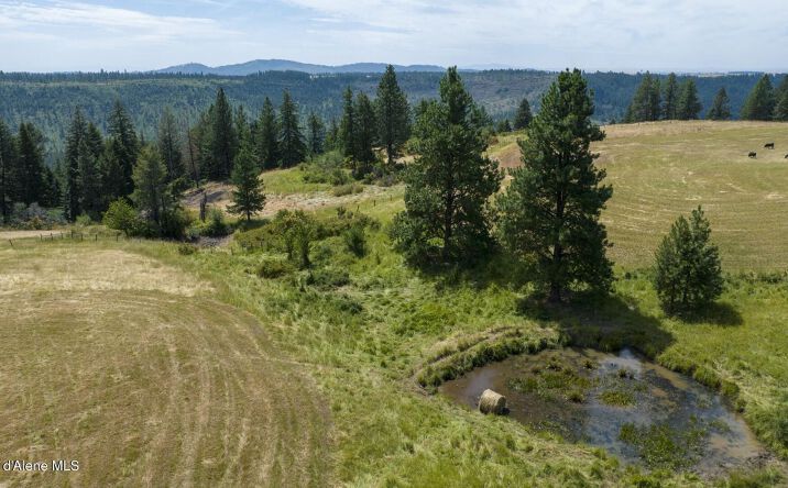 Pictures of Land property located at 1605 Jasmine Ln, Weippe, ID 83553 for sales - image #1