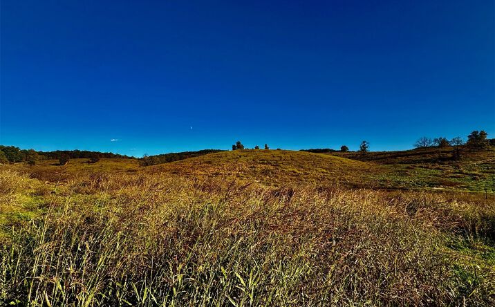 Pictures of Land property located at 100 Highway, Welling, OK 74471 for sales - image #1