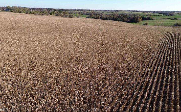 Pictures of Land property located at 52 A Scarlet Avenue, Bloomfield, IA 52537 for sales - image #1