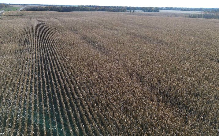 Pictures of Land property located at 32 A 160th Street, Bloomfield, IA 52537 for sales - image #1