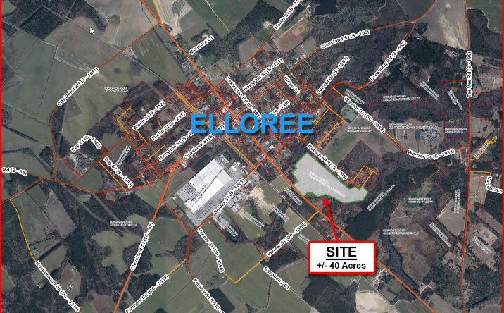 Pictures of Land property located at O Old Number 6 Highway, Elloree, SC 29047 for sales - image #1