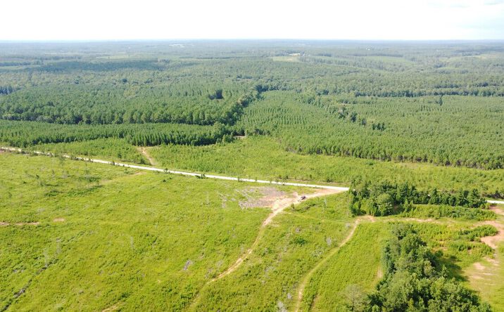 Pictures of Land property located at Off Monument & Yates Road, West Point, GA 31833 for sales - image #1