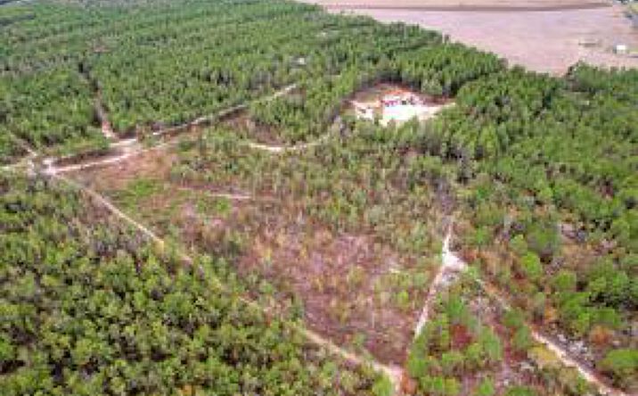 Pictures of Land property located at 27 Apple Jack Road, Batesburg-Leesville, SC 29006 for sales - image #1