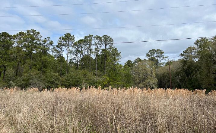 Pictures of Land property located at 522 Parris Island, Beaufort, SC 29906 for sales - image #1