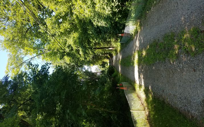 Pictures of Land property located at Old Palmer Rd, Fort Washington, MD 20744 for sales - image #1