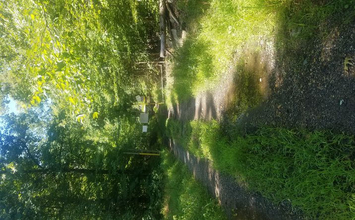 Pictures of Land property located at 7285 Billingsley Rd, Bryans Road, MD 20616 for sales - image #1