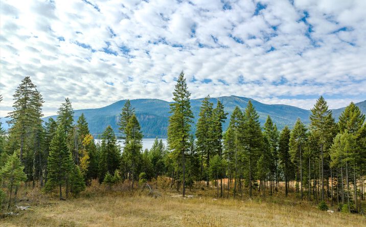 Pictures of Land property located at Lot 1 McKay Minor Road, Noxon, MT 59853 for sales - image #1