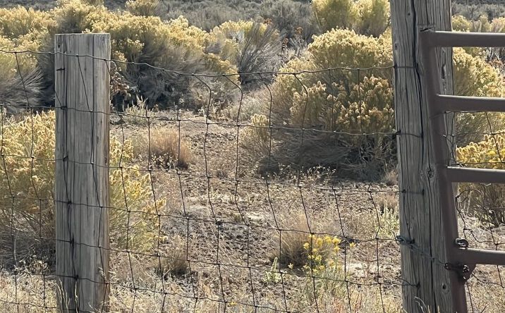 Pictures of Land property located at 2016 Pickering Avenue, Spring Creek, NV 89815 for sales - image #1