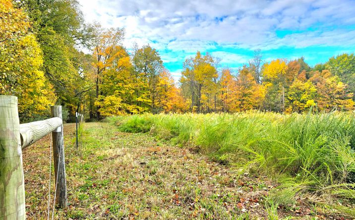 Pictures of Land, Mixed Use property located at 6054 Township Road 183, Cardington, OH 43315 for sales - image #1