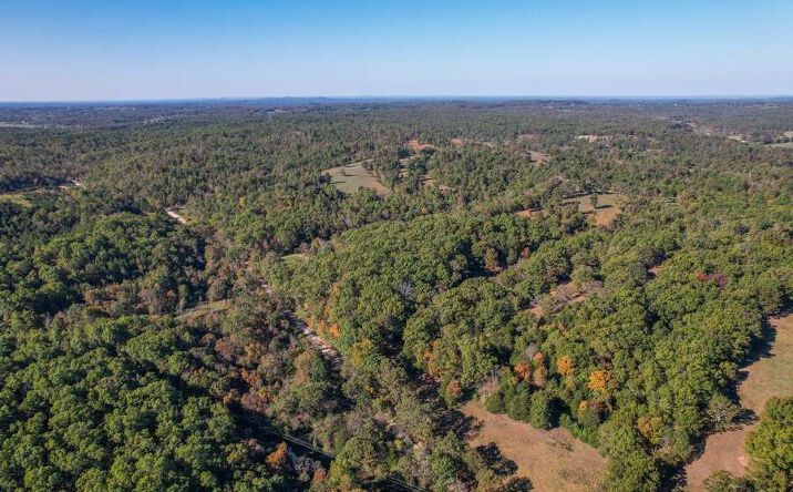 Pictures of Land property located at 000 CR 1130, Willow Springs, MO 65793 for sales - image #1