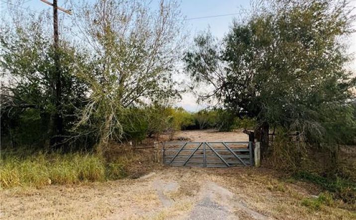 Pictures of Land property located at Fm 755 Road, Encino, TX 78353 for sales - image #1