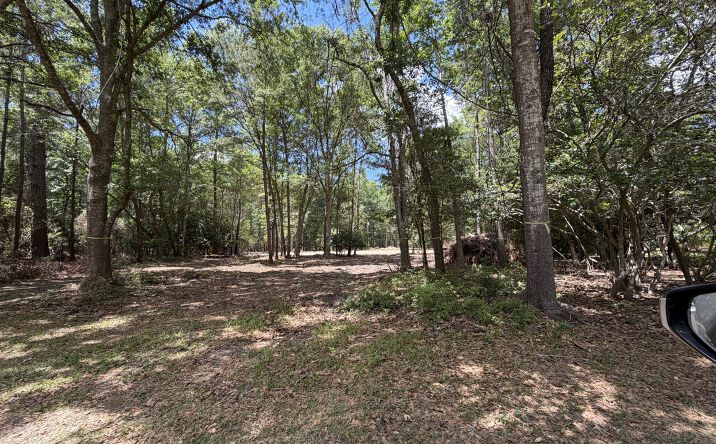 Pictures of Land, Mobile Home Park, Special Purpose property located at 1 Highway 162, Hollywood, SC 29449 for sales - image #1