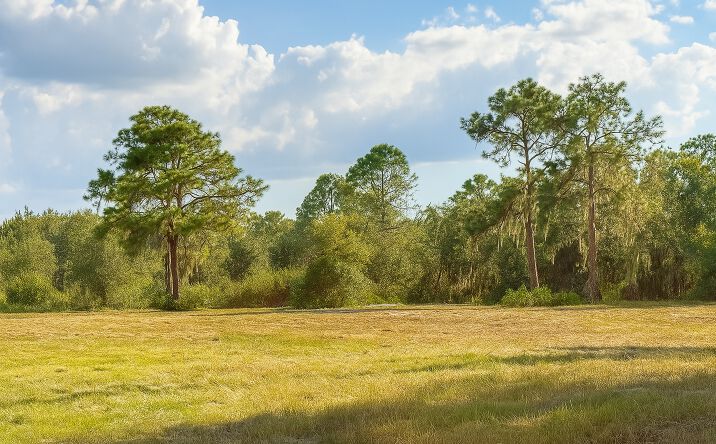 Pictures of Land property located at 1205-1209 N. Alexander Street, Plant City, FL 33563 for sales - image #1