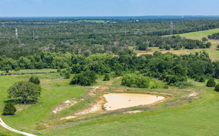 Pictures of Land property located at 1500 Co Rd 481, Thrall, TX 76578 for sales - image #1