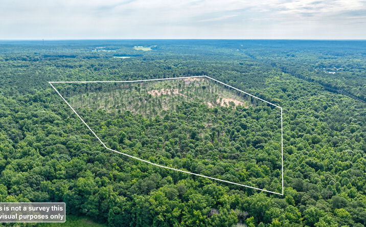 Pictures of Land property located at 0 Wilson Lane, Arnoldville, GA 30619 for sales - image #1