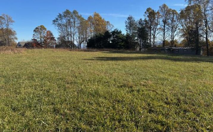 Pictures of Land property located at TBD Rhododendron Rd, Hillsville, VA 24343 for sales - image #1