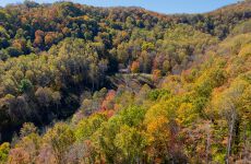 28061666