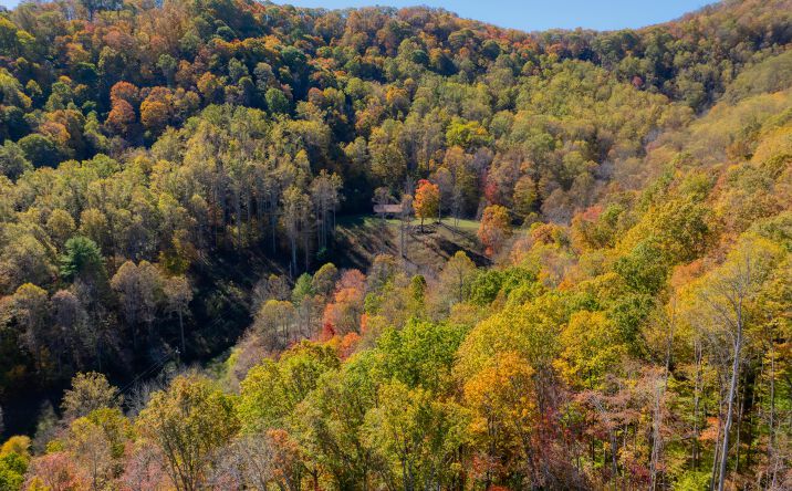 Pictures of Retail, Land property located at 193 Smith Branch Rd, Roan Mountain, TN 37687 for sales - image #1