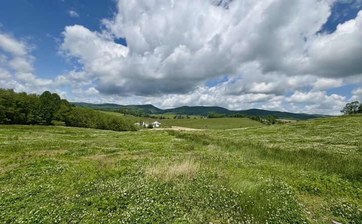 Pictures of Retail, Land property located at 0 Horne Hollow Rd, Sugar Grove, VA 24375 for sales - image #1