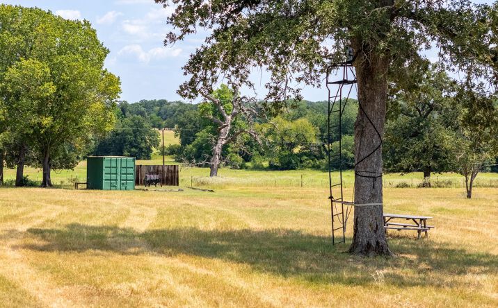 Pictures of Land property located at 1045 Private Rd 7005, Lexington, TX 78947 for sales - image #1
