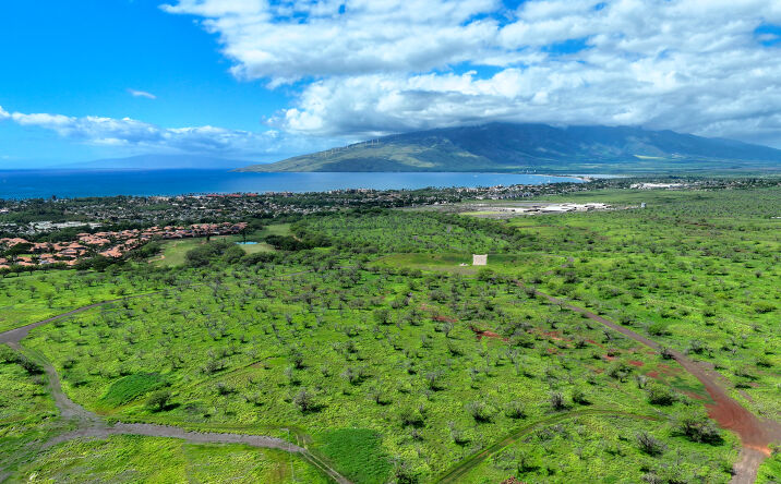 Pictures of Land property located at Lipoa Pkwy, Commercial Lot 3-D-3, Kihei, HI 96753 for sales - image #1