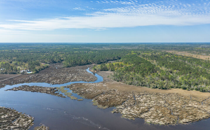 Pictures of Land property located at US-17, Sanderling Trace, Waverly, GA 31565 for sales - image #1