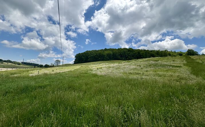 Pictures of Land property located at 0 Horne Hollow Rd, Sugar Grove, VA 24375 for sales - image #1